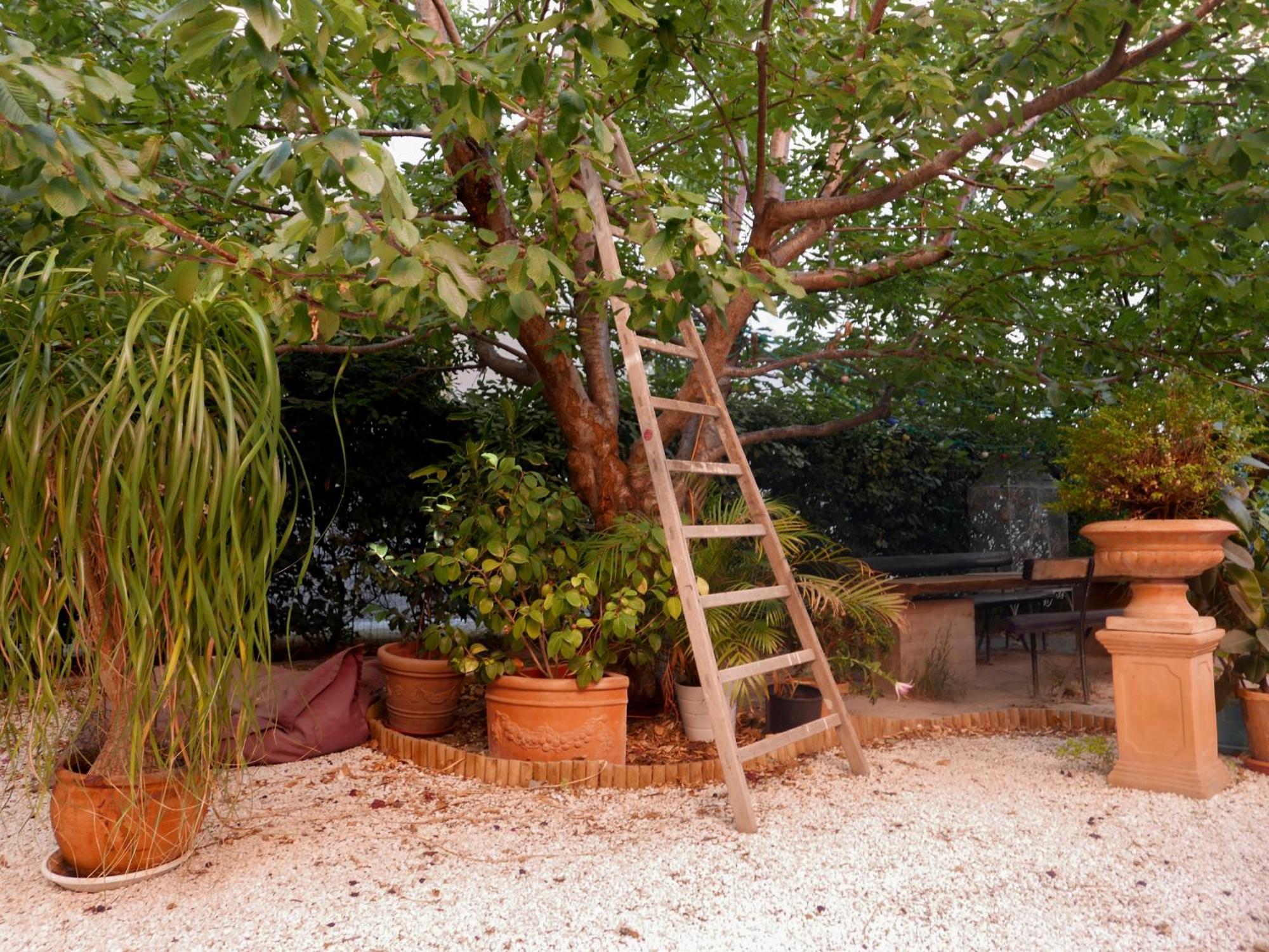 Jardin Vieux Port Panier 호텔 마르세유 외부 사진